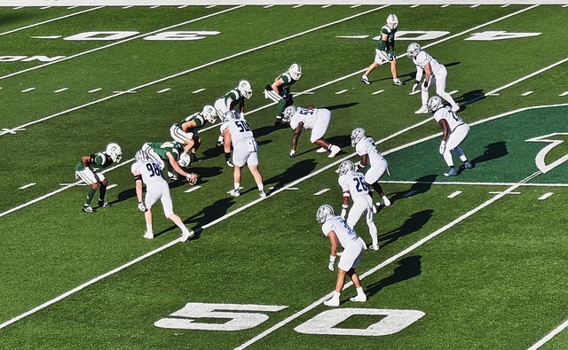 引发了广泛 引发了广泛