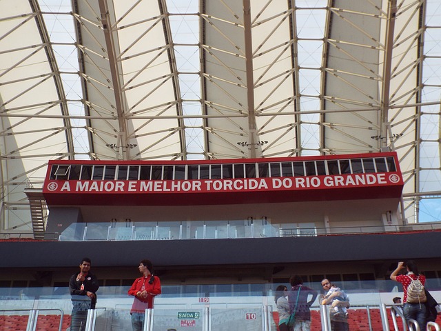 未来公司将 未来公司将